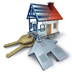 Real Estate Showcase Template